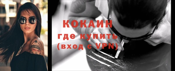 крисы Болхов